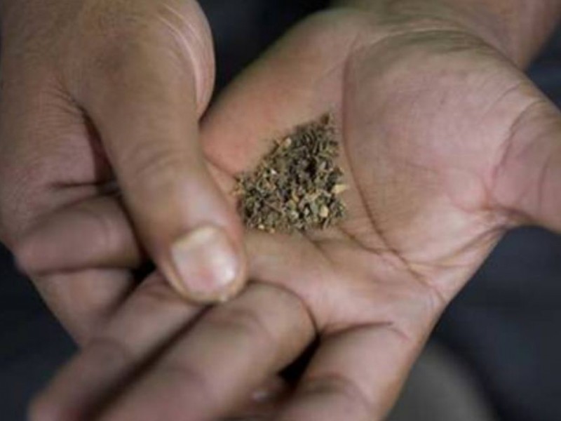 नेपालीले नौ महिनामा कति किलो सुर्ती सेवन गरे ?